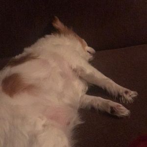 Meet your Posher, Lourdes